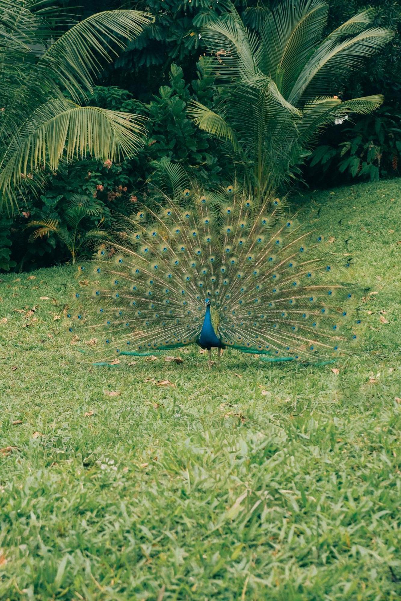 Raffles Sentosa Hotel Singapore